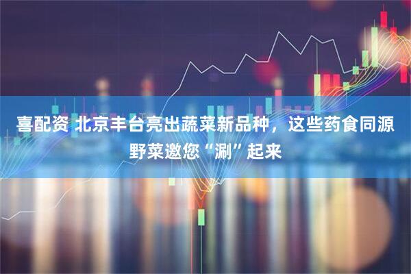 喜配资 北京丰台亮出蔬菜新品种，这些药食同源野菜邀您“涮”起来